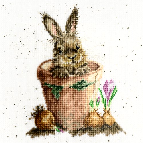 (image for) The Flower Pot